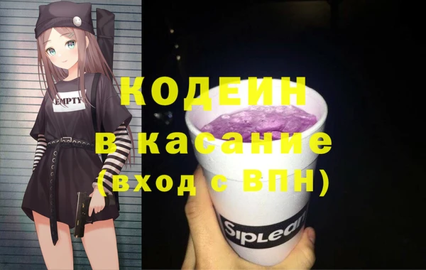 сатива Новозыбков