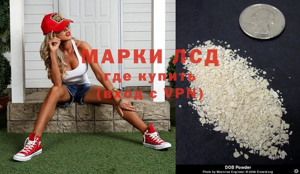 ПСИЛОЦИБИНОВЫЕ ГРИБЫ Нея