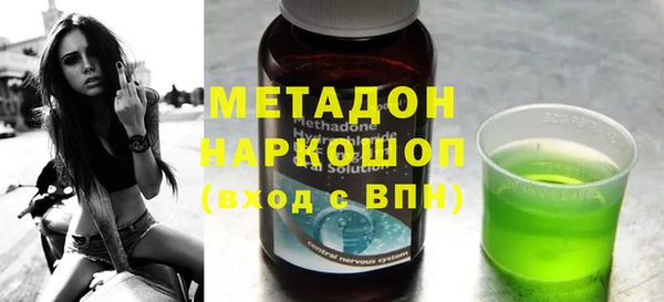 сатива Новозыбков