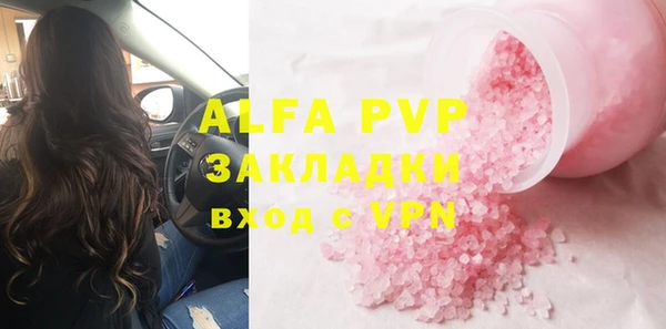 сатива Новозыбков