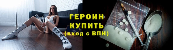 сатива Новозыбков