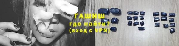 сатива Новозыбков