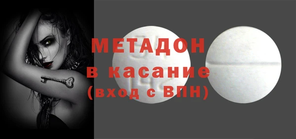 сатива Новозыбков