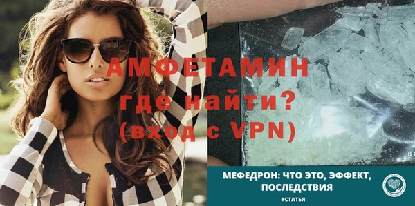 сатива Новозыбков