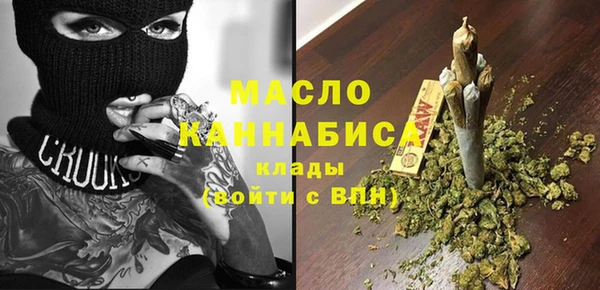 сатива Новозыбков