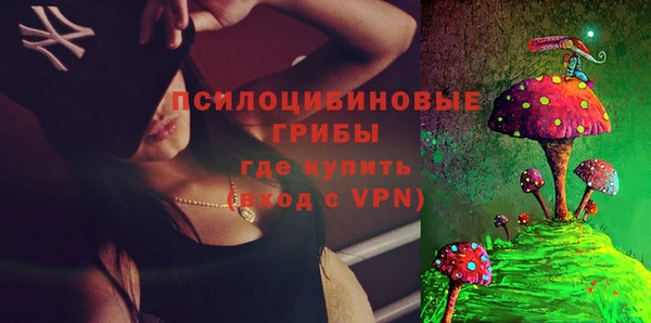 дурь Нягань