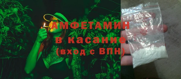 сатива Новозыбков