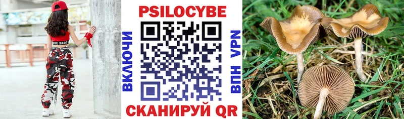 Псилоцибиновые грибы GOLDEN TEACHER  Ладушкин 