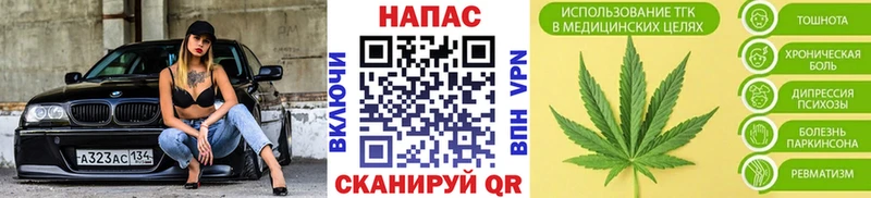 Бошки Шишки конопля  Ладушкин 